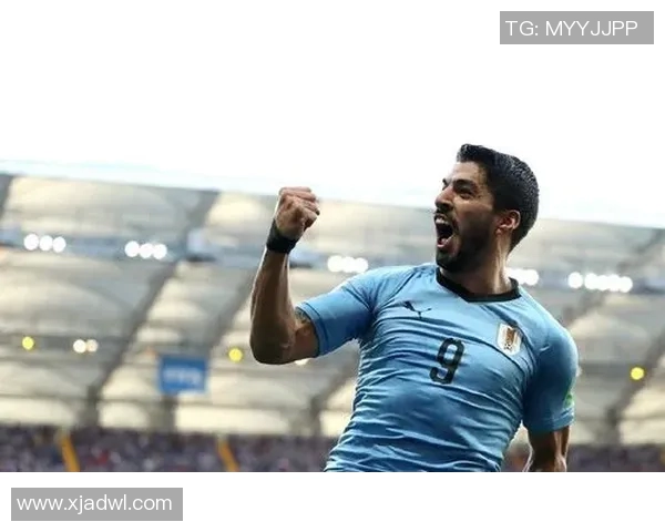 德国与荷兰足球对决爱奇艺直播精彩瞬间回顾与分析